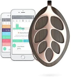 Bellabeat Leaf Nature Smart Jewelry Health Tracker